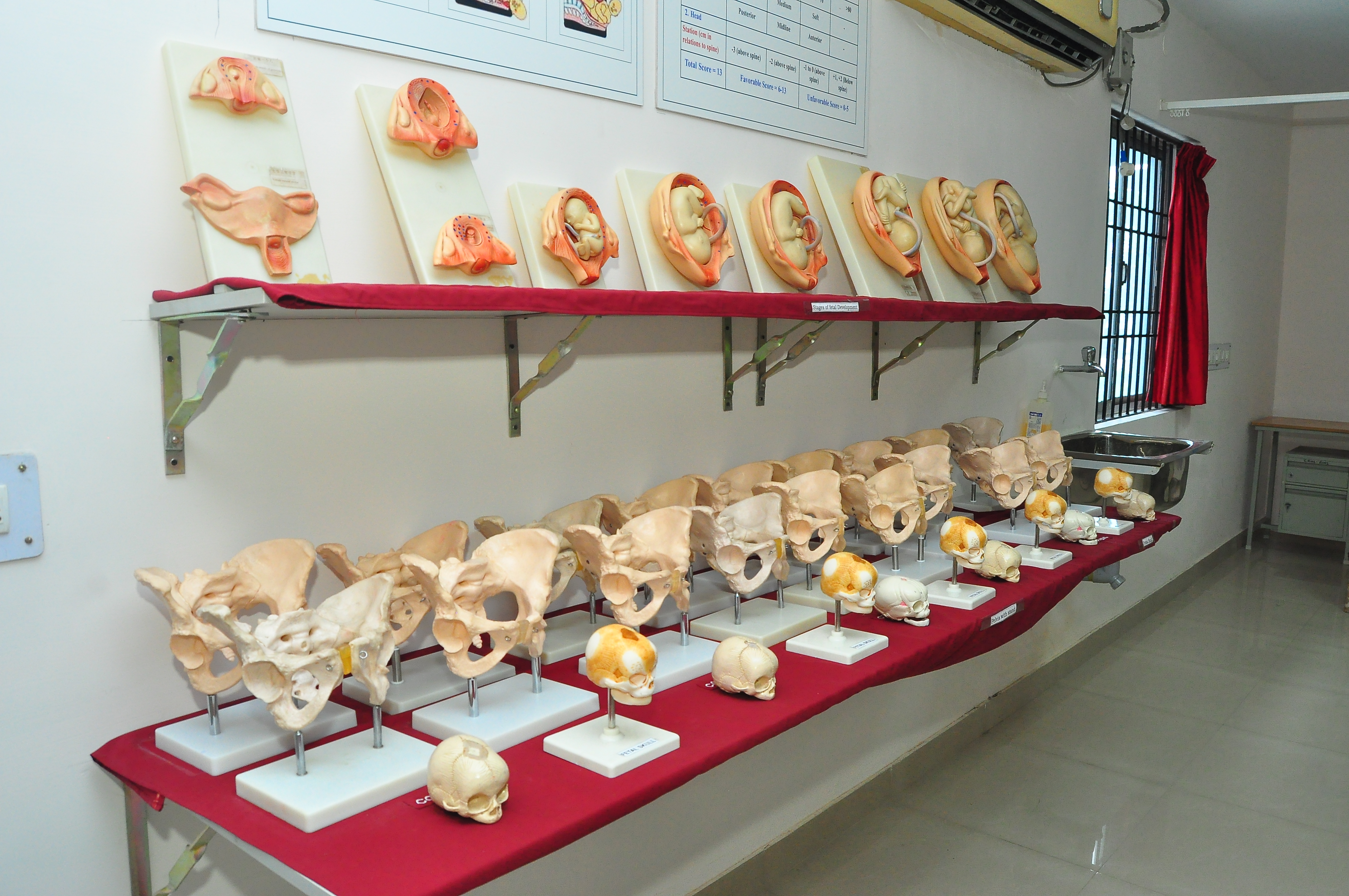 OBG Lab 6